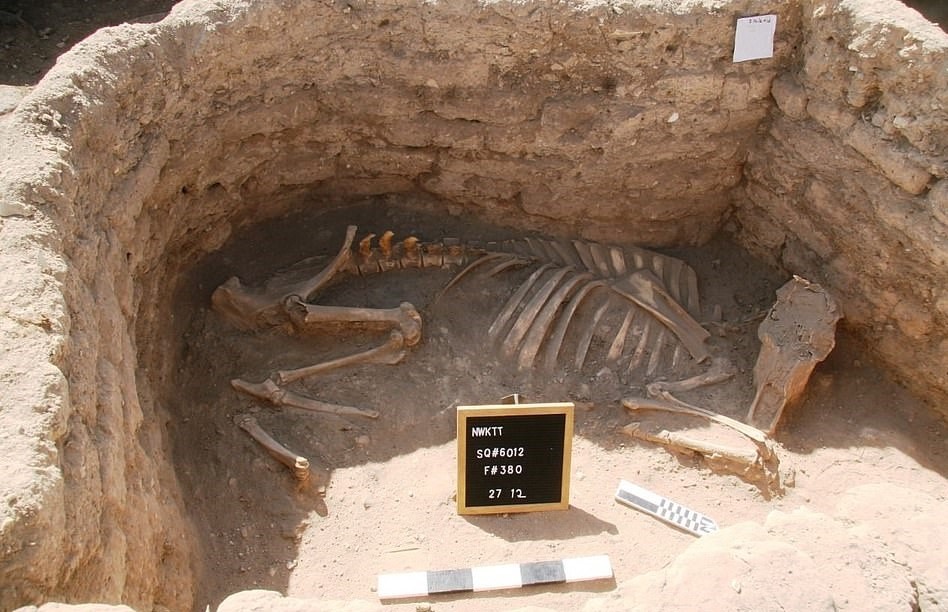 Ai Cap phat hien 'thanh pho vang that lac' 3.000 nam tuoi hinh anh