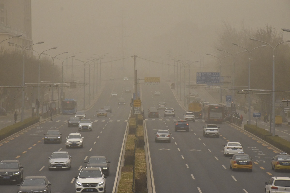 bao cat Trung Quoc anh 1