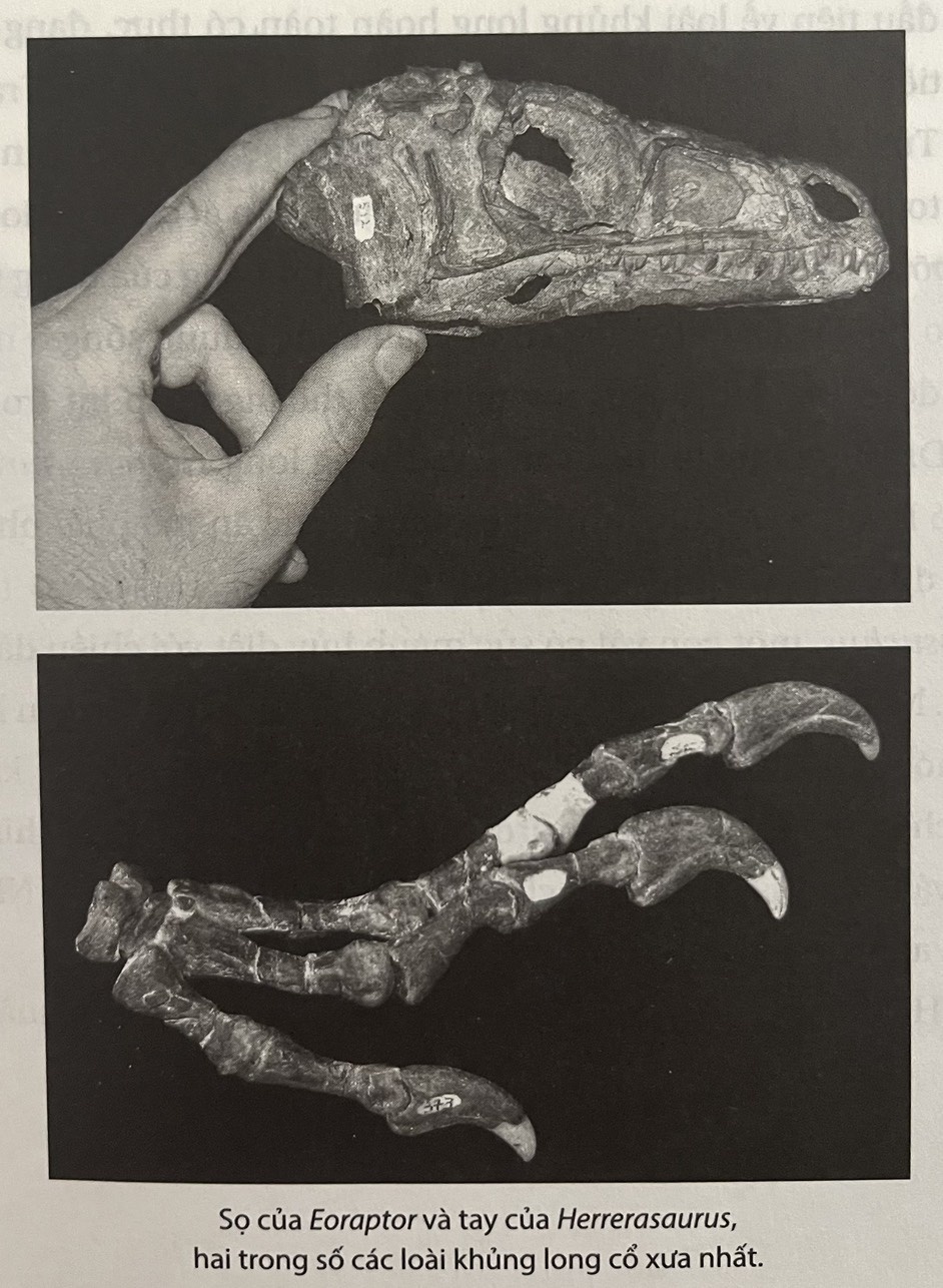 khủng long ảnh 2 khung long anh 2