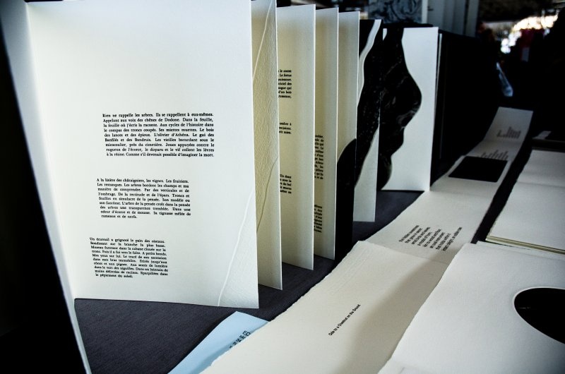 codex ảnh 6 codex anh 6