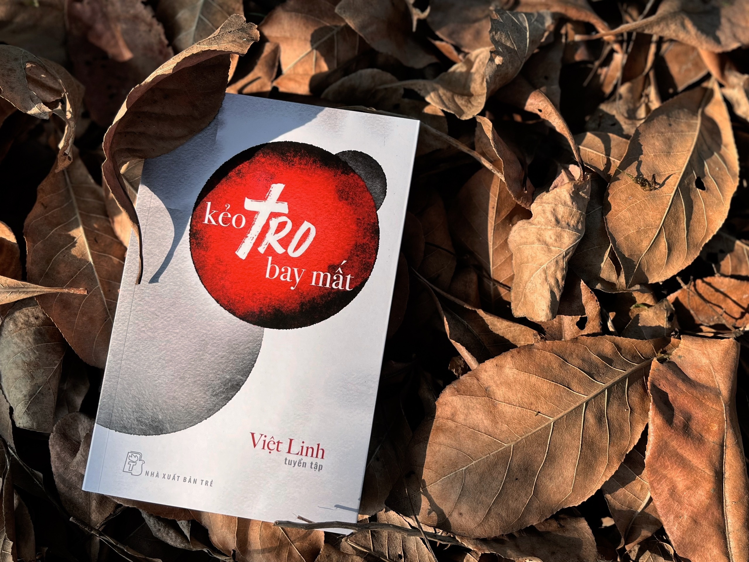 Cuoc song lang dong noi trang viet cua dao dien Viet Linh hinh anh