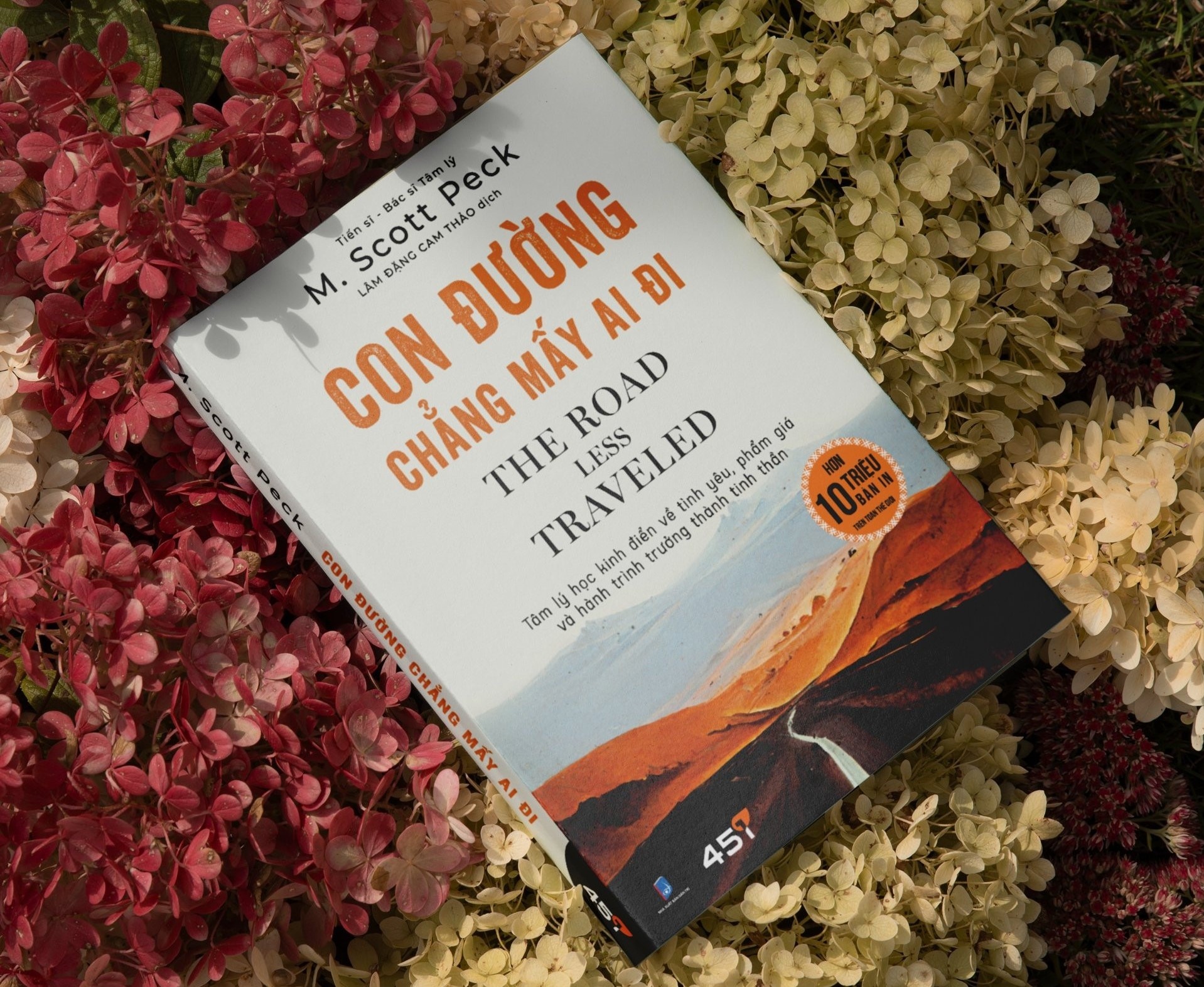 'Con duong chang may ai di' cua bac si tam ly co gi dac biet? hinh anh