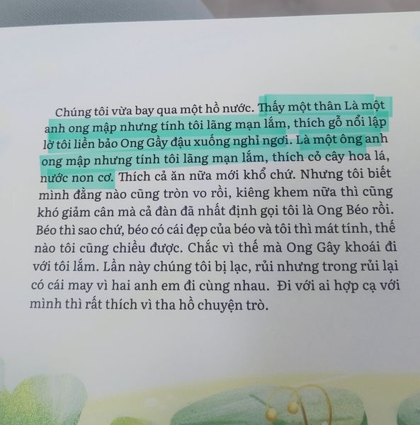 ong beo,  ong gay anh 3