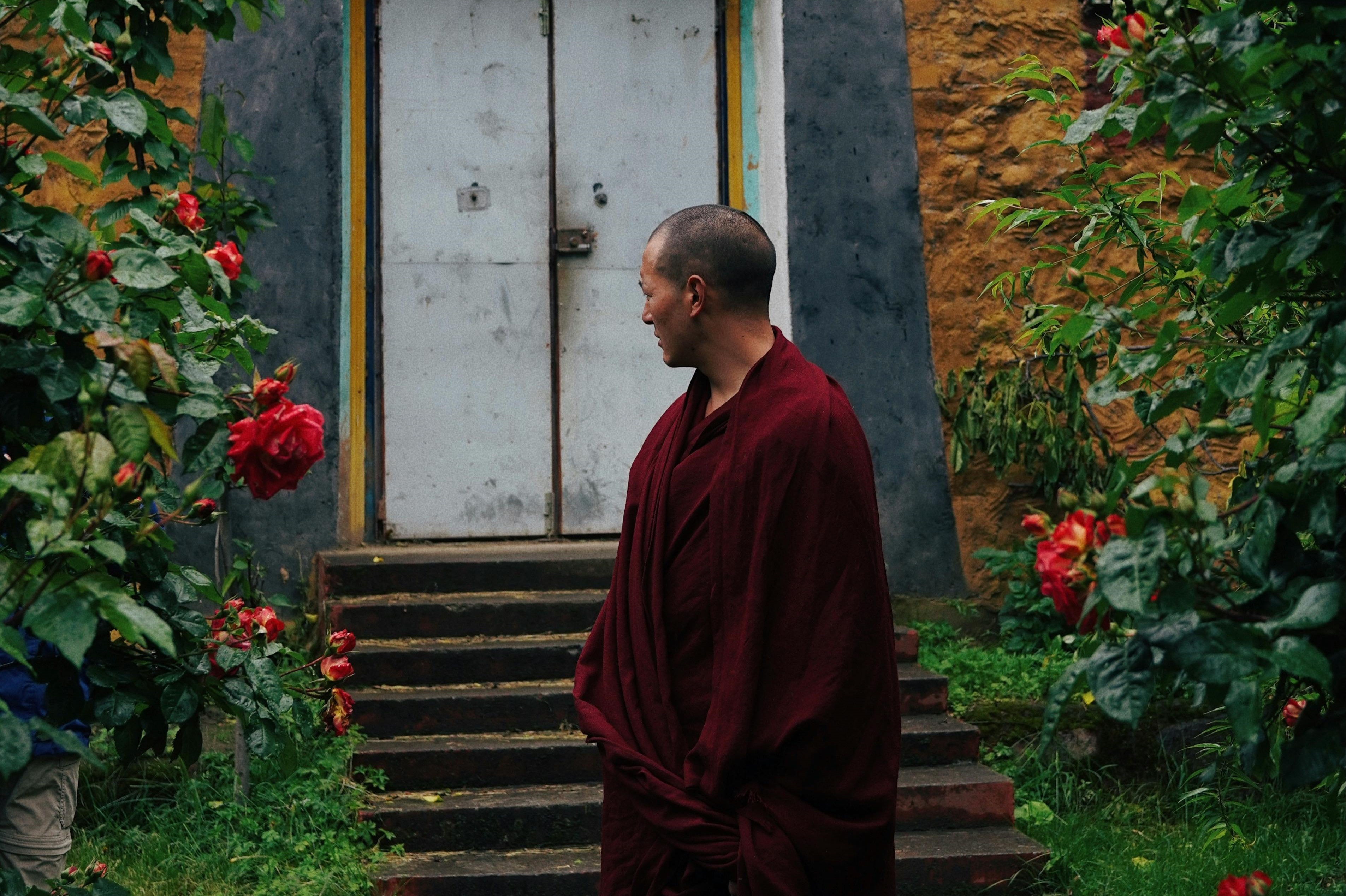 Cua ngo buoc len con duong thanh dao hinh anh