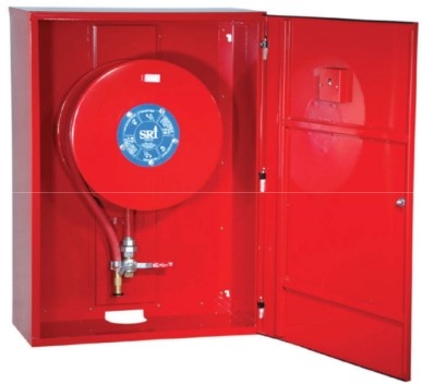 hong chua chay anh 3