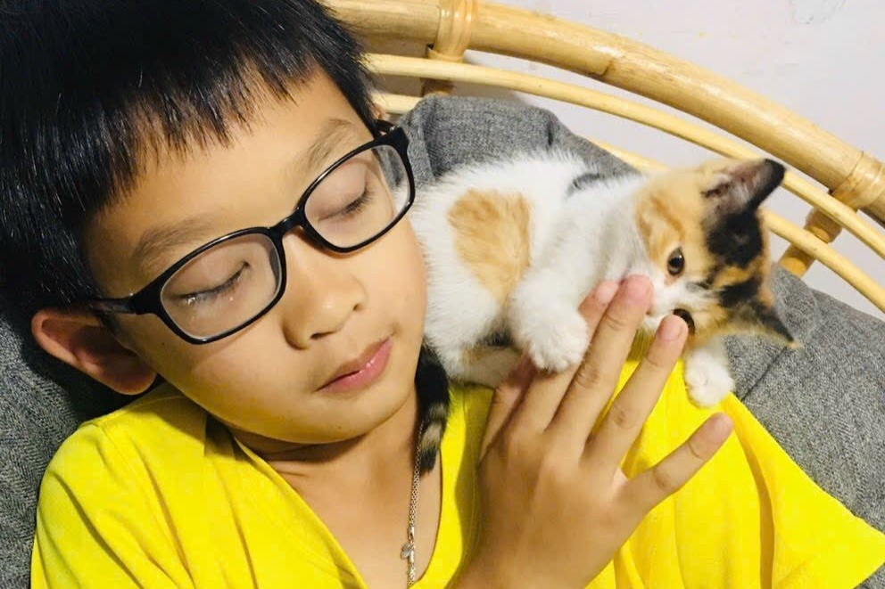 Sach tranh truyen cua cau be Da Lat xuat ban o Han Quoc hinh anh