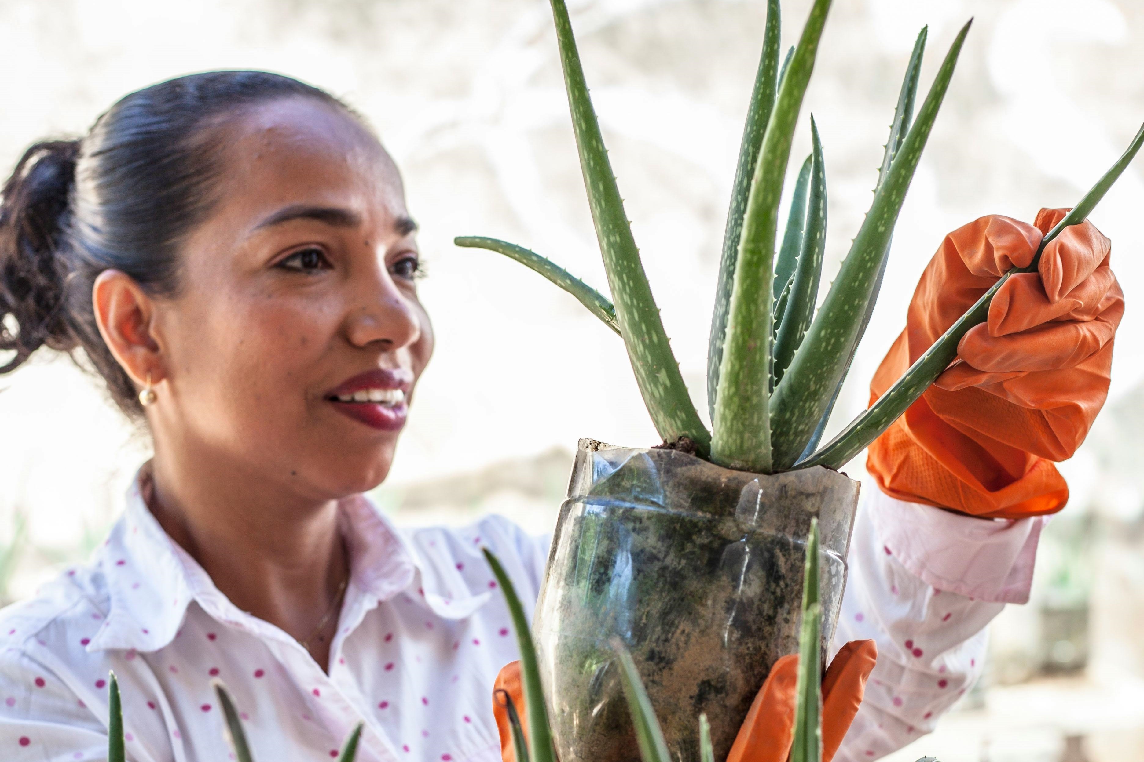 Ban co dang lam dieu minh thuc su muon trong doi? hinh anh