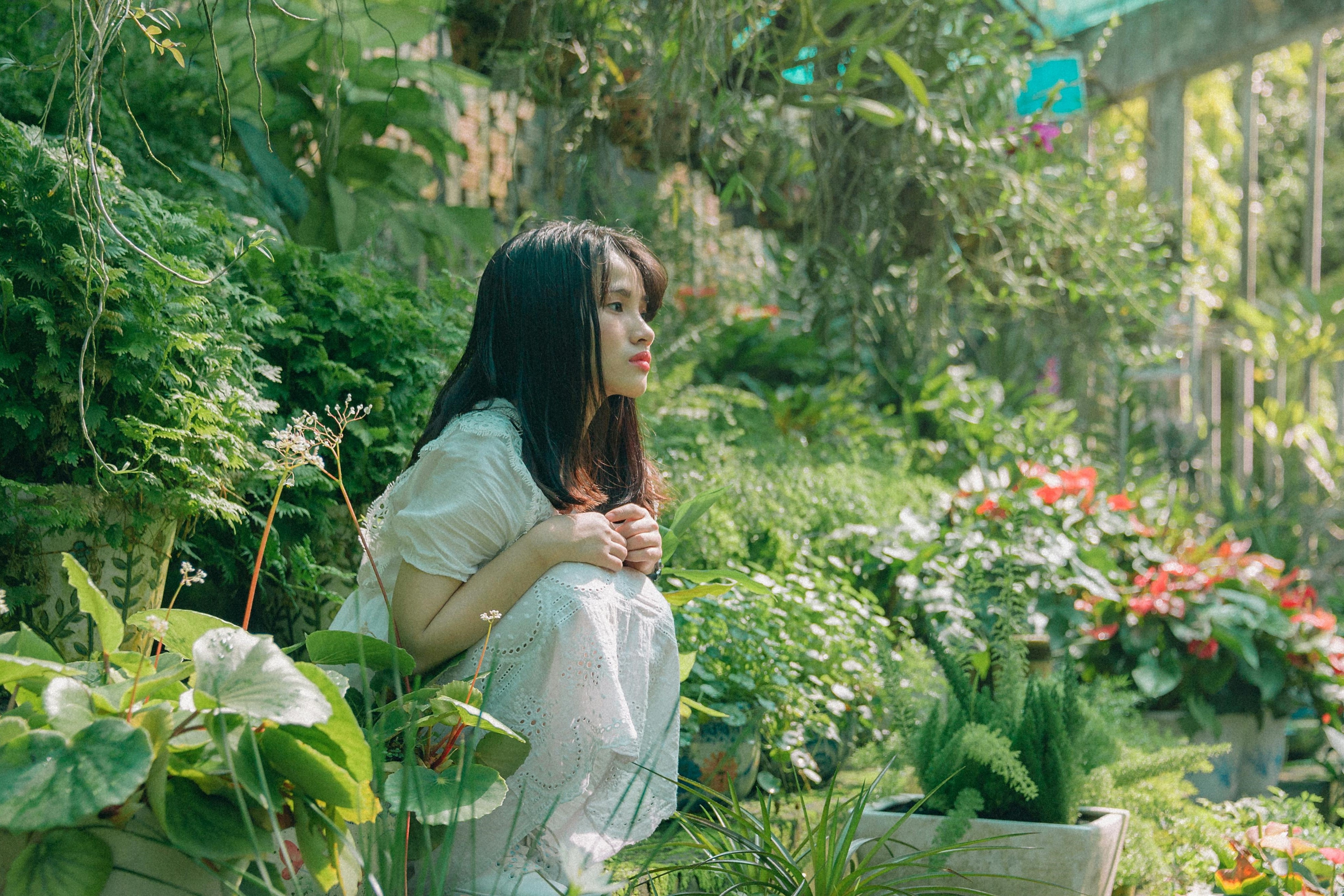 Lam the nao de tuoi tam vuon tam? hinh anh