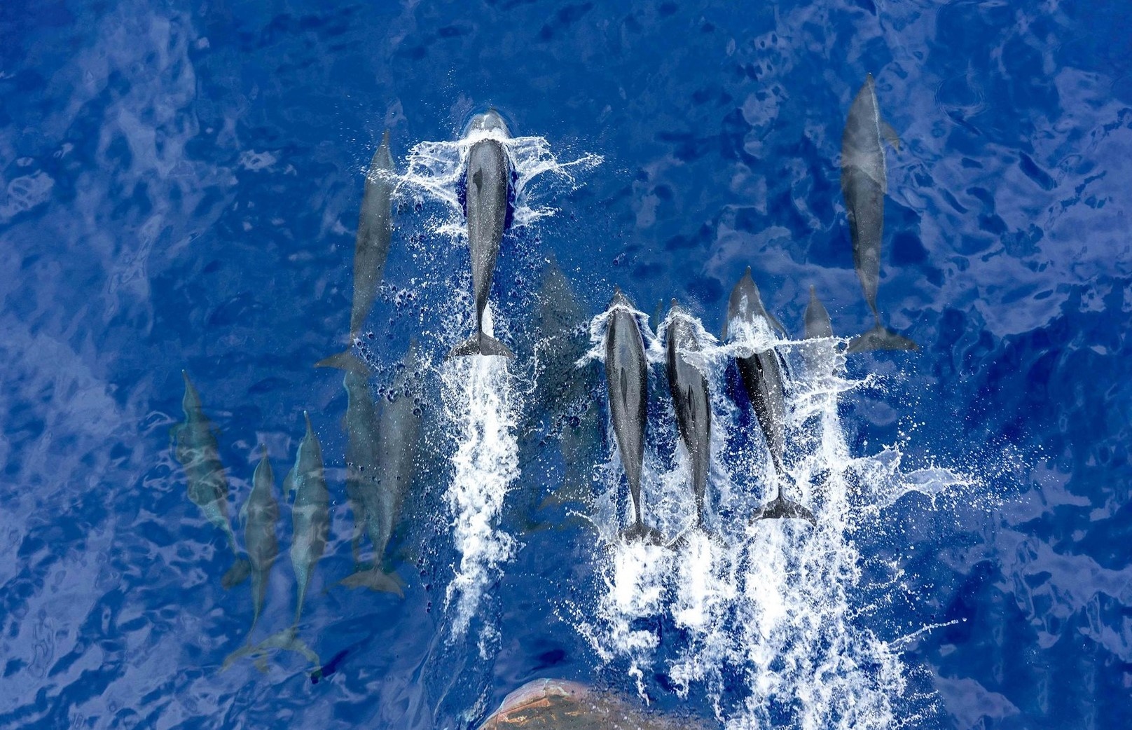 Yeu lam Truong Sa anh 10