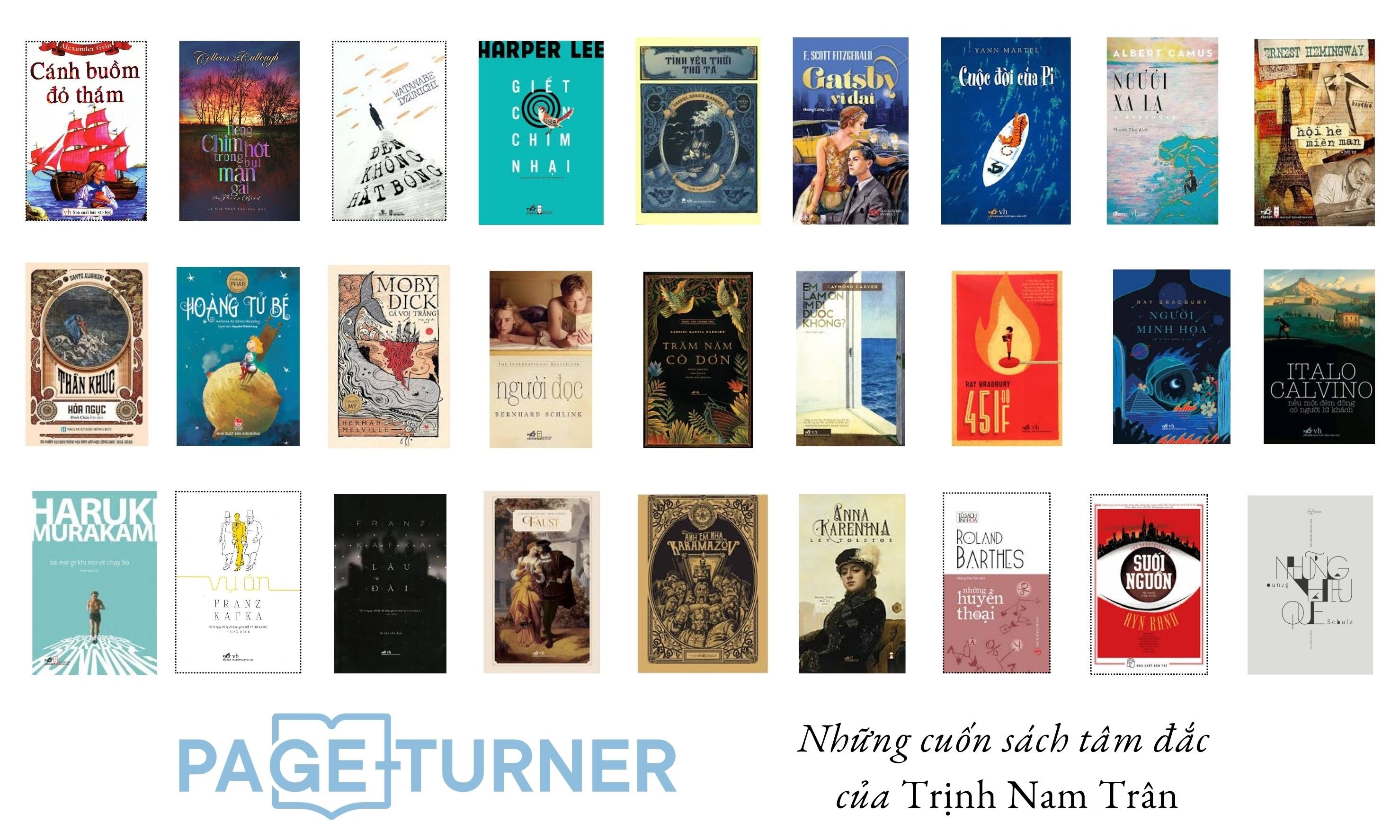 trinh nam tran anh 1