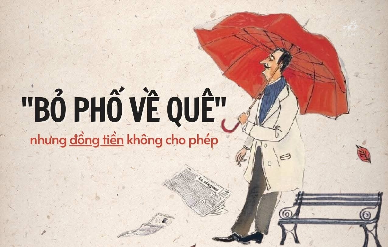 Uoc mo 'bo pho ve rung' bat thanh hinh anh