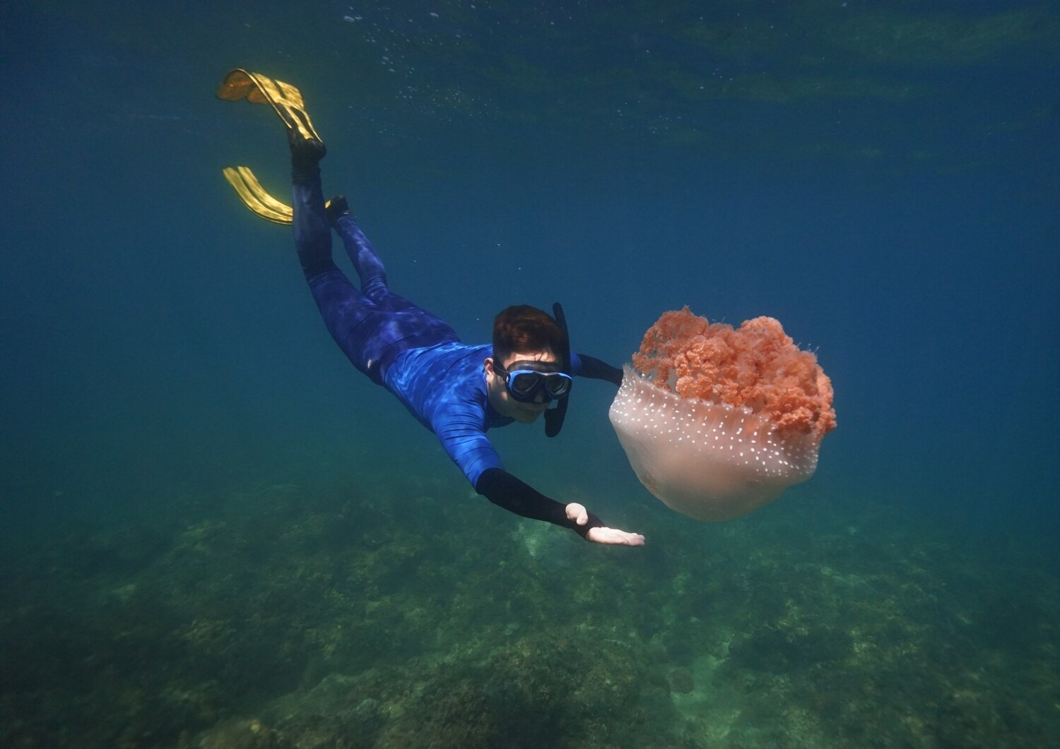 Bác sĩ Hùng Ngô ảnh 6 Bac si Hung Ngo anh 6