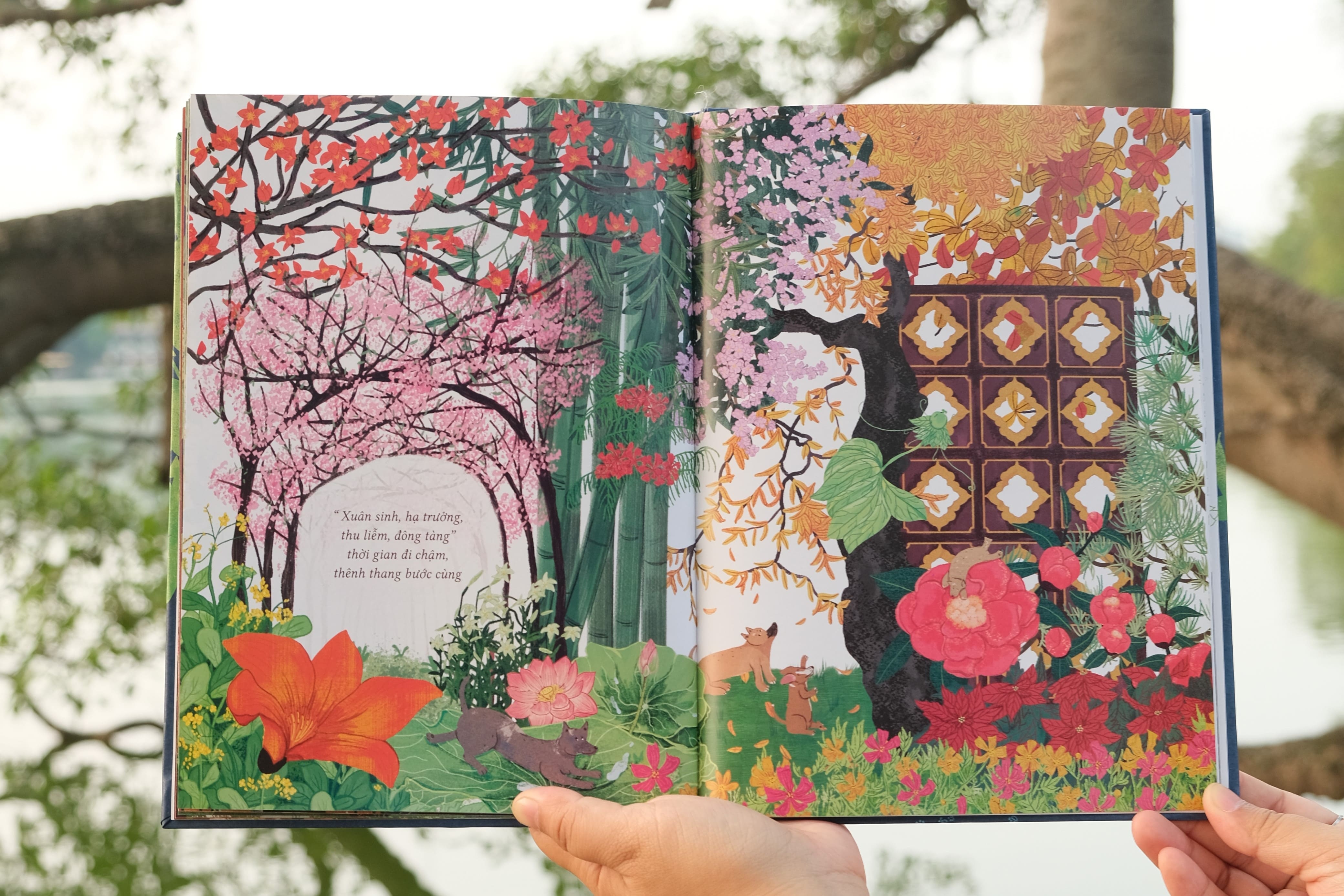 'Dao buoc voi thoi gian': Tu su ve bon mua qua canh sac Viet Nam hinh anh