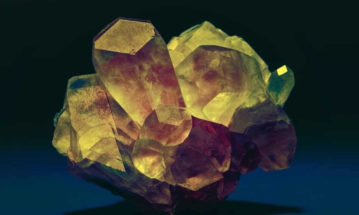 Quan he ky dieu giua con nguoi va khoang vat hinh anh