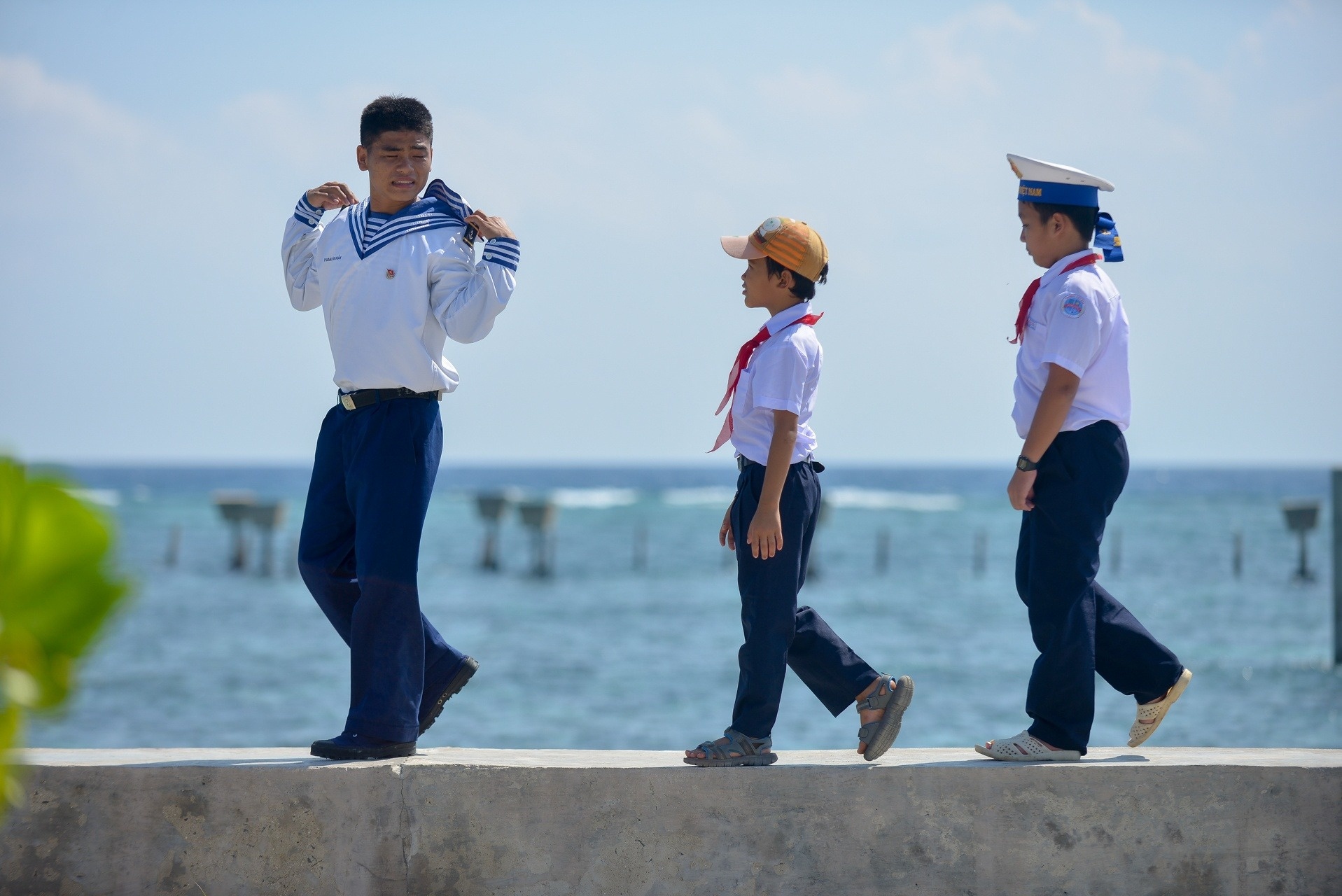 Trai tim cua dao hinh anh