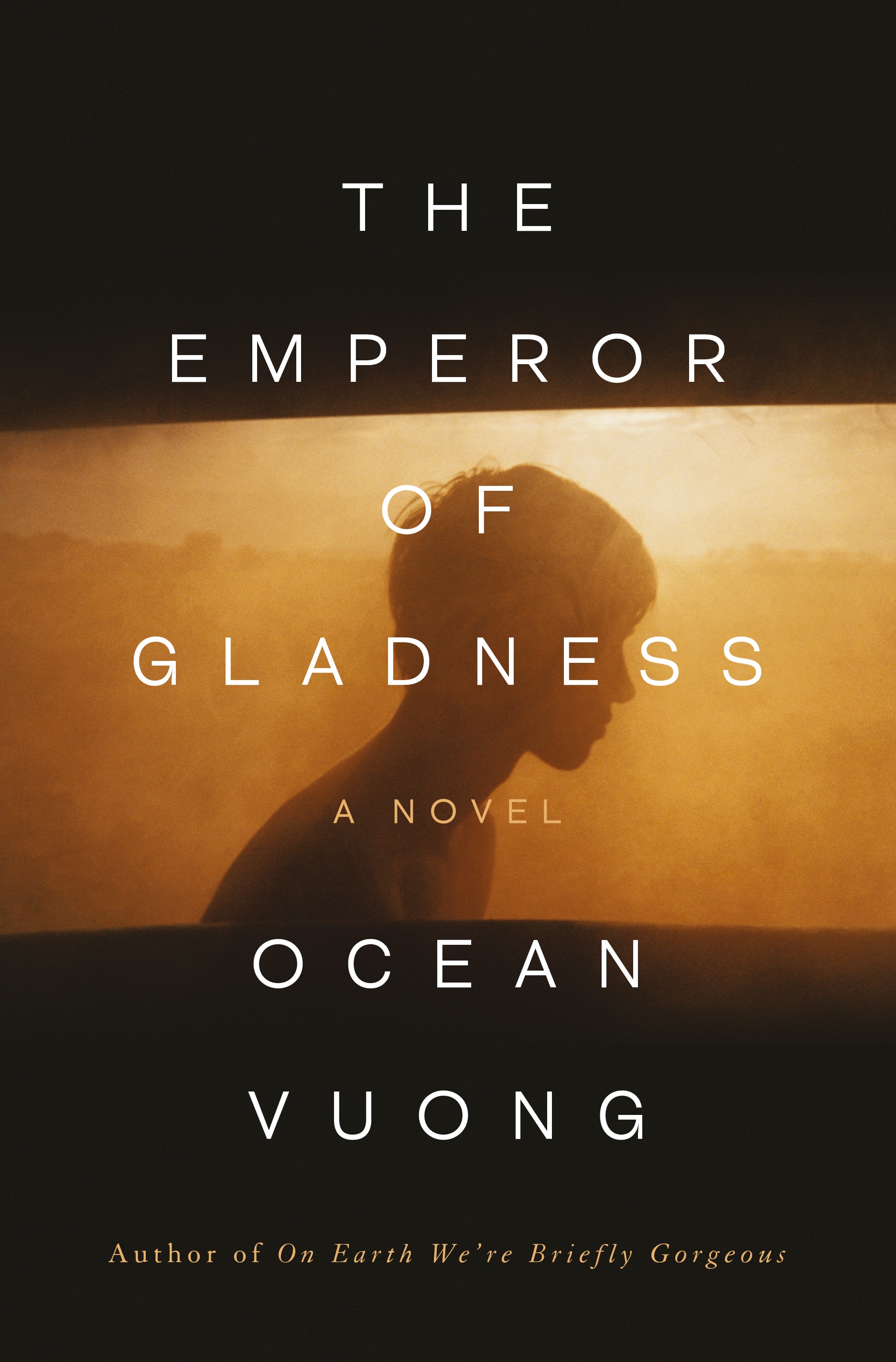 Ocean Vuong anh 1