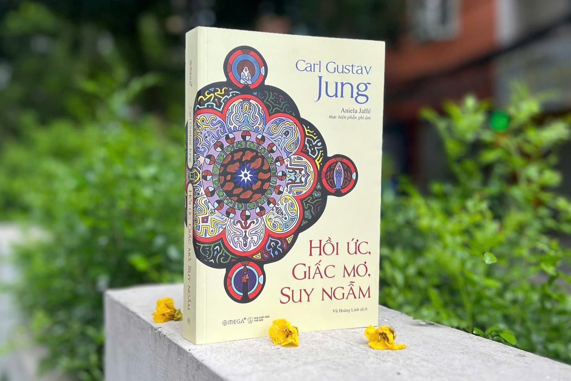 sach Carl Jung anh 1