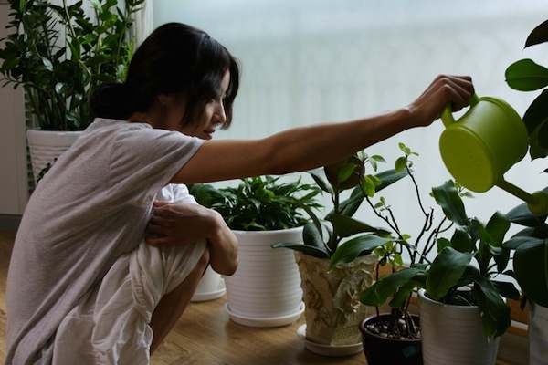 han kang anh 3
