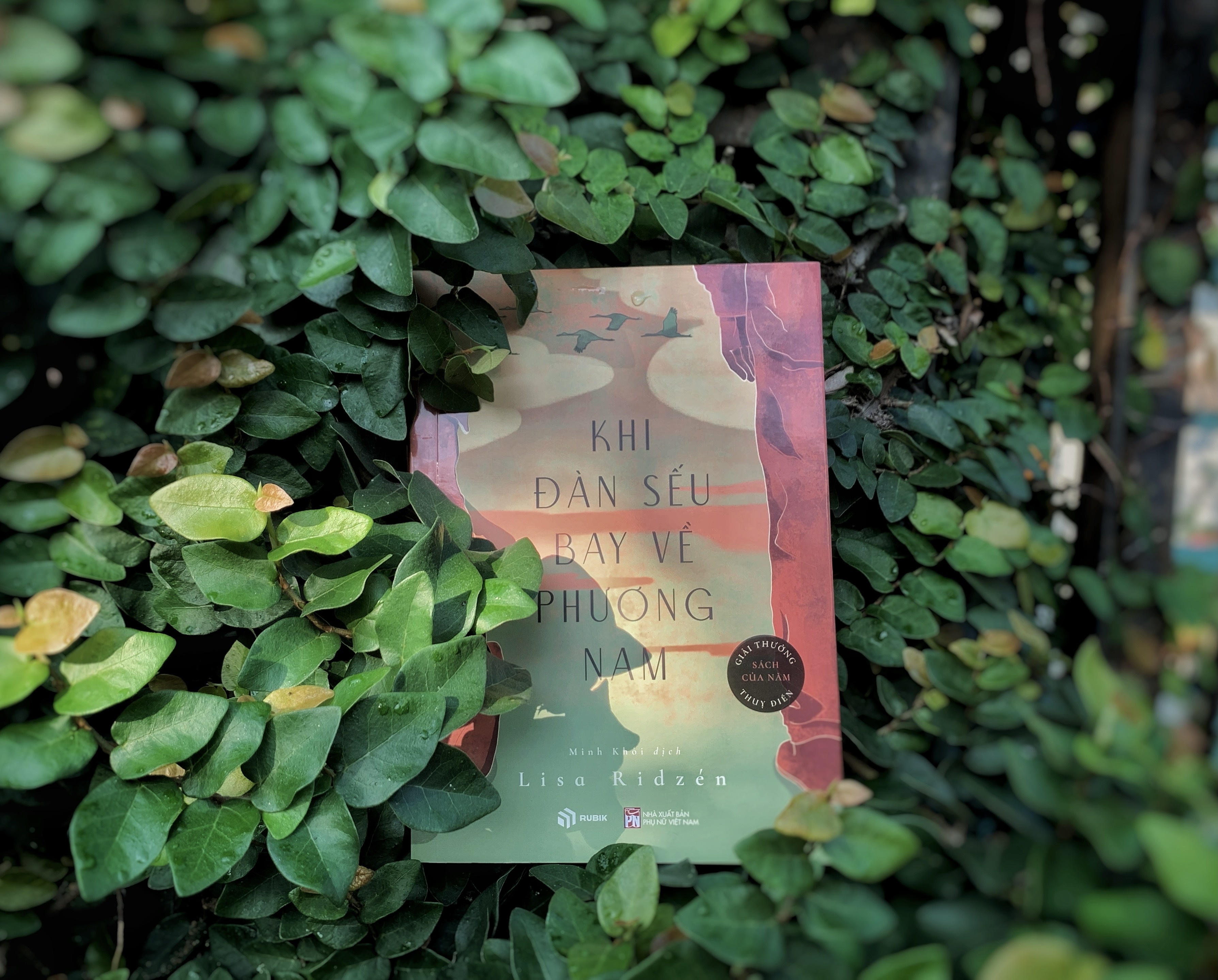 'Khi dan seu bay ve phuong Nam': Khi tuoi gia 'cat tieng' hinh anh