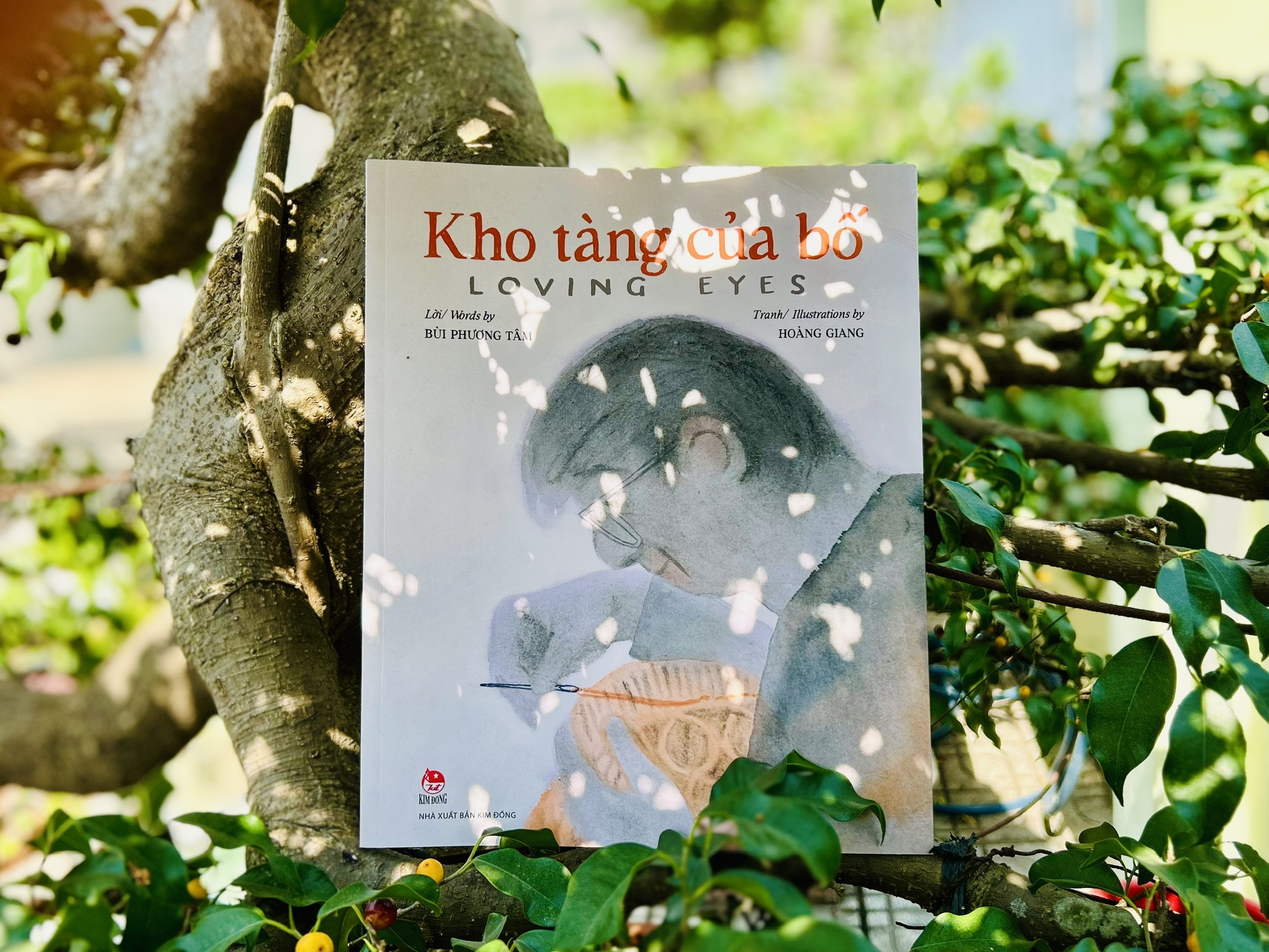 Kho tang cua bo anh 2