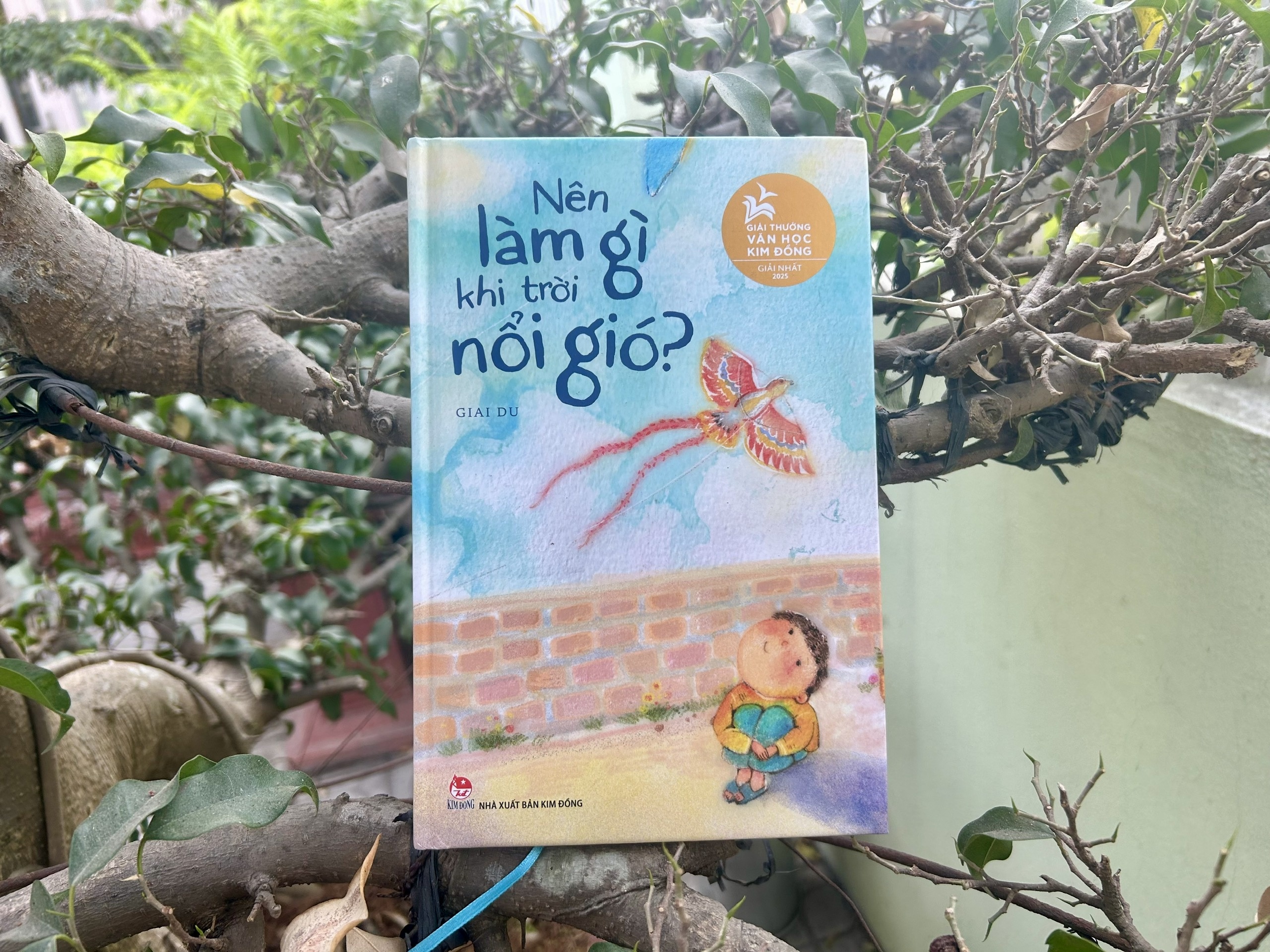 nen lam gi anh 1