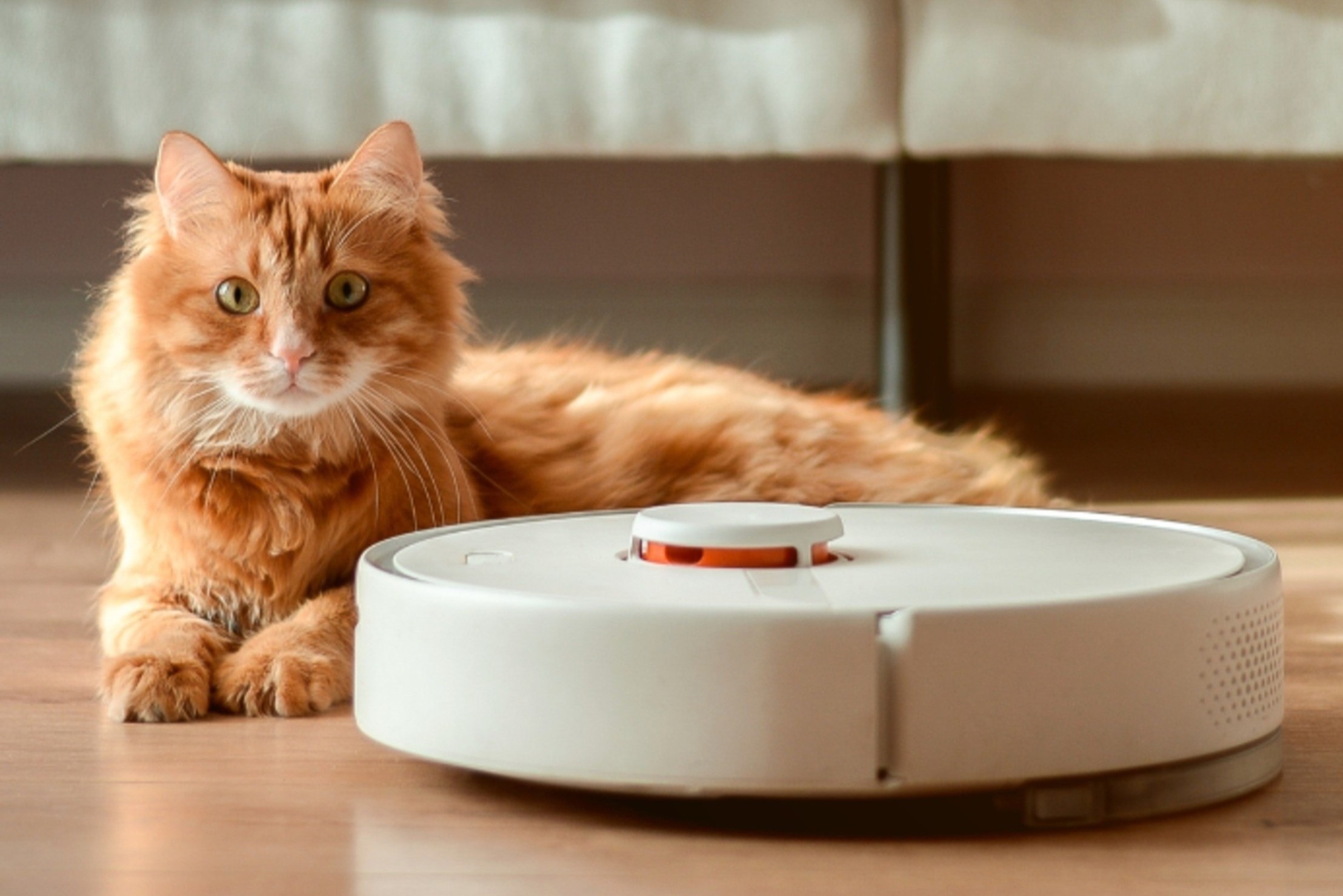 Bieu tuong robot hut bui doi dau sup do hinh anh