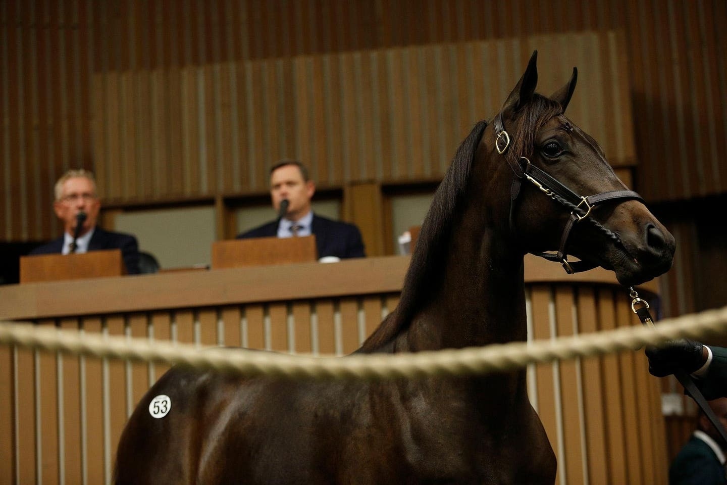 gioi sieu giau,  g anh 1