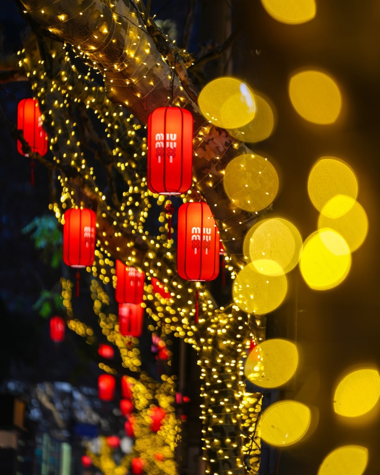 tet,  Tet Nguyen Dan,  xa xi anh 7