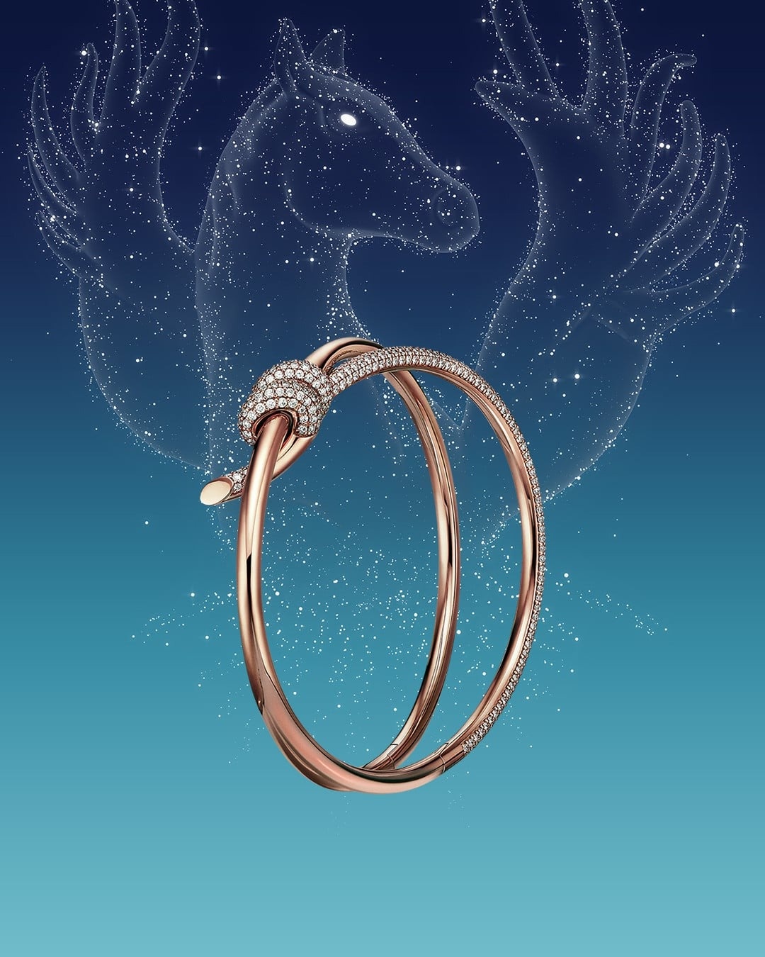 tet,  Tet Nguyen Dan,  xa xi anh 2