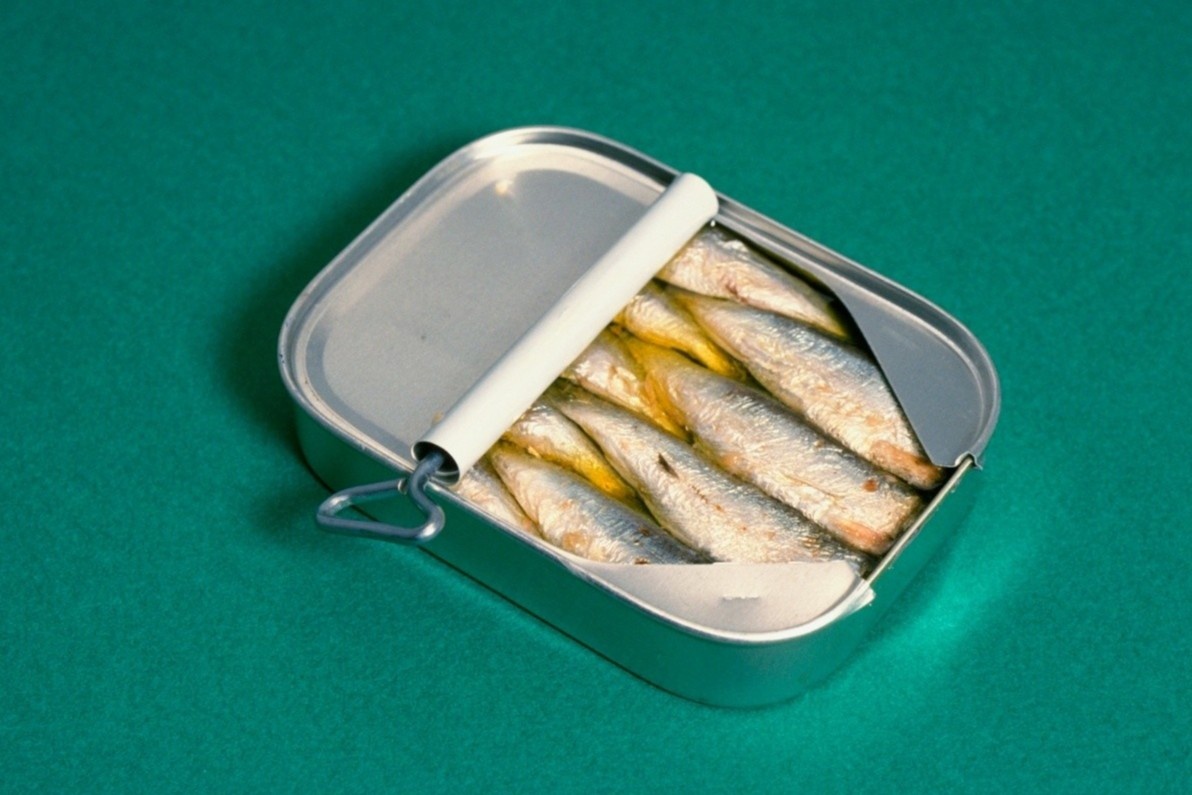 Canh bao trao luu an ca moi lam dep da hinh anh