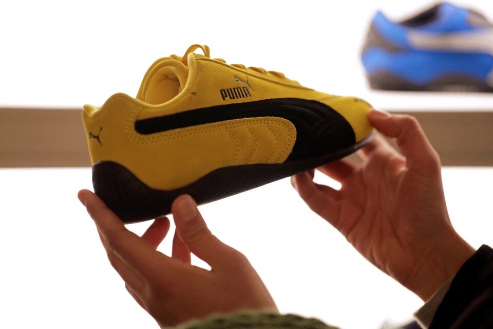 Puma ảnh 2