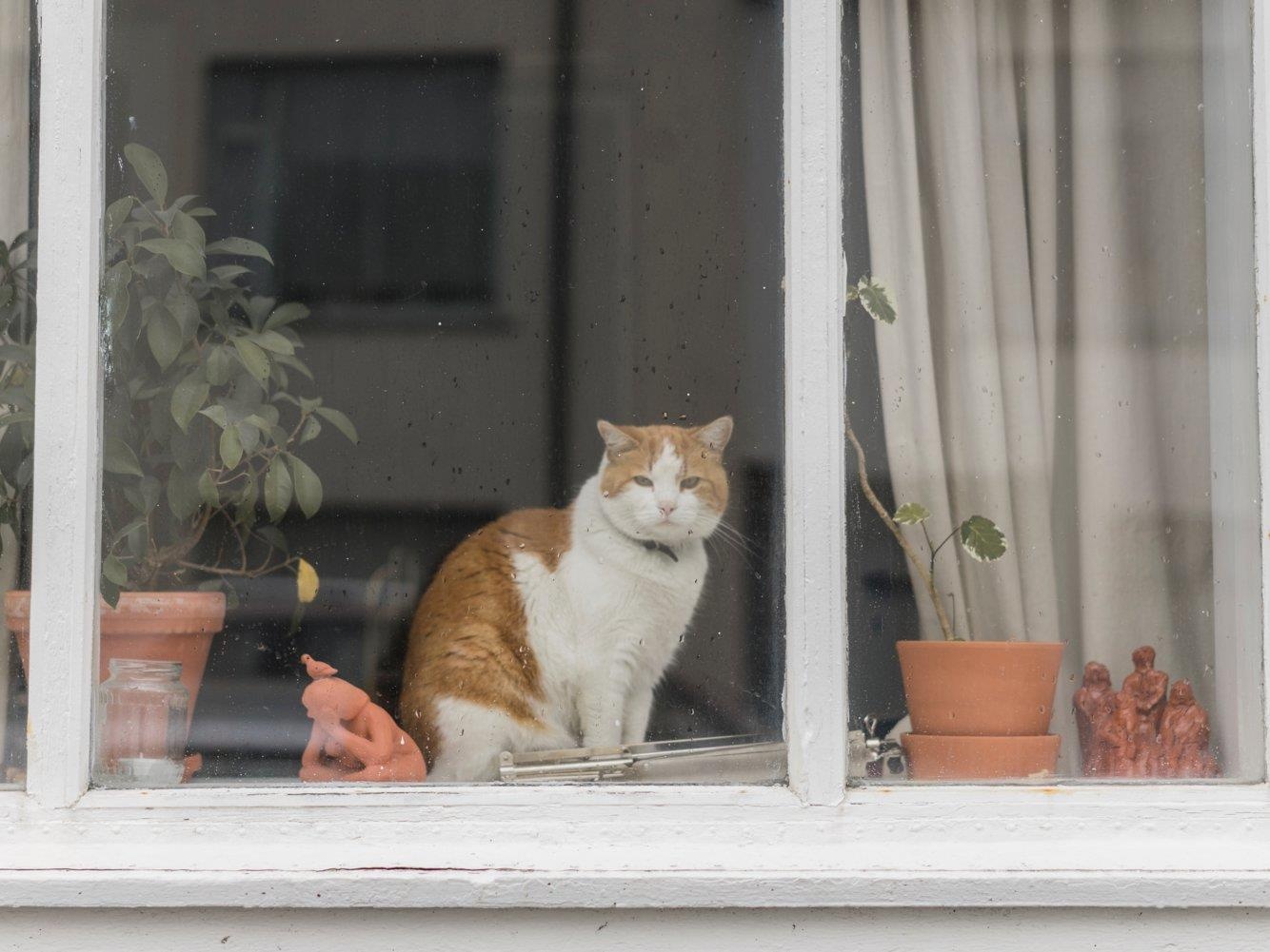 nha khong the ban duoc anh 3