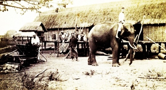 Chuyen tham hiem day Truong Son cua bac si Yersin 133 nam truoc hinh anh