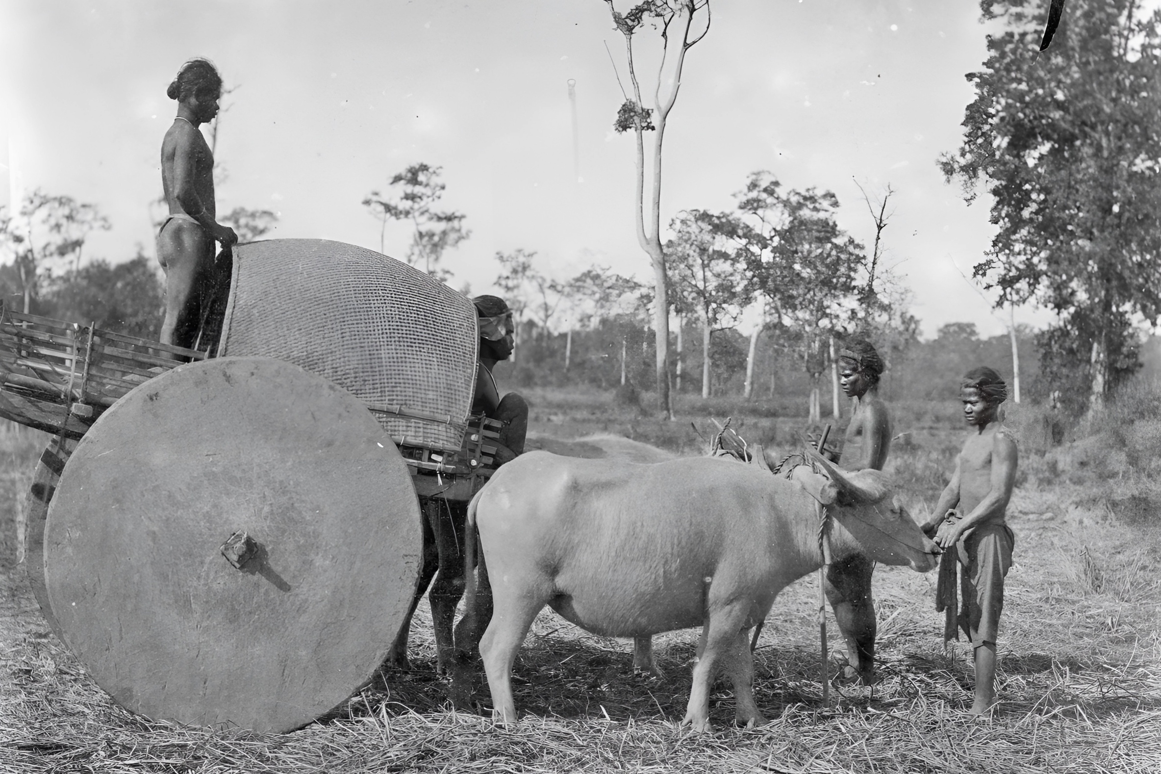 Chuyen tham hiem tu Nha Trang den Da Nang cua Yersin 130 nam truoc hinh anh