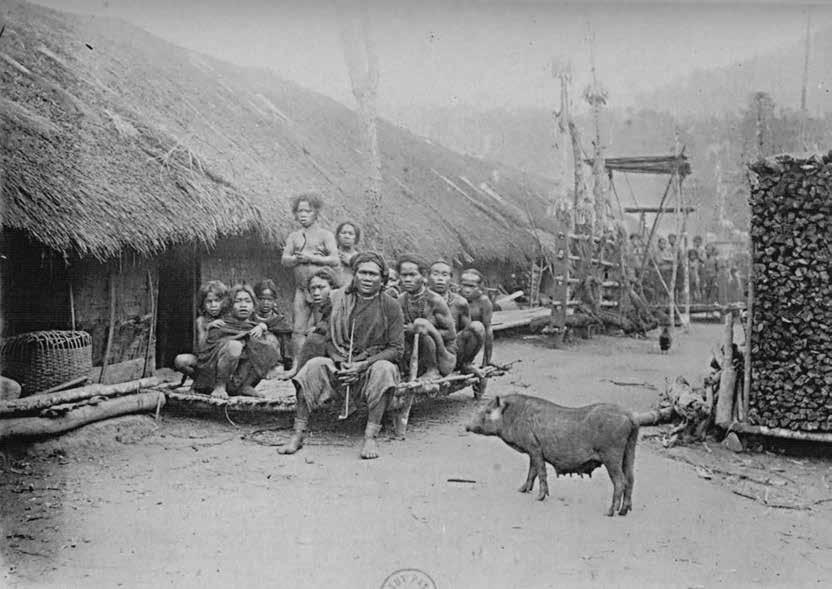 Ky uc cua Yersin ve chuyen tham hiem o Viet Nam hinh anh