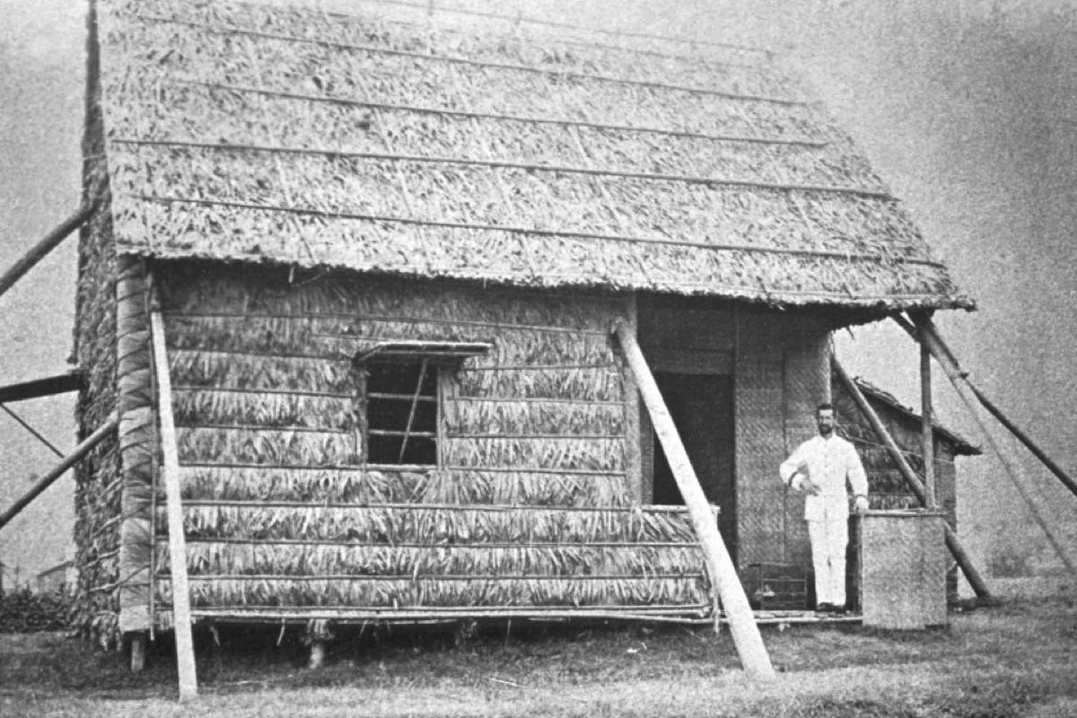 Nha vi khuan hoc noi tieng the gioi toi Viet Nam lam nong nghiep hinh anh