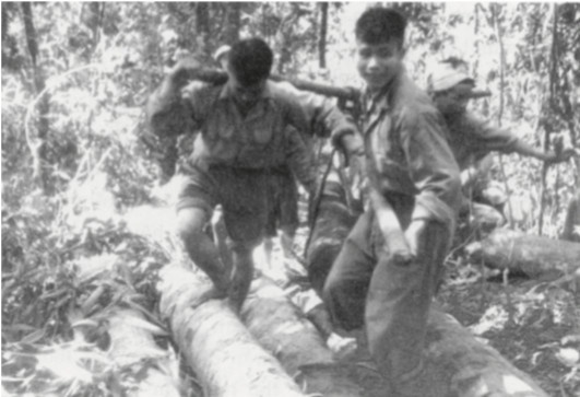 'Dung si dam le' trong chien thang Dien Bien Phu hinh anh