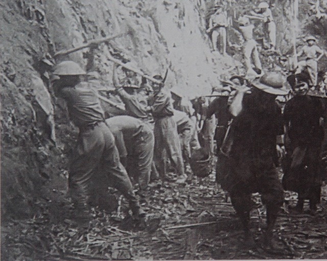 Tuong Phap noi cuoc xeng Viet Nam manh khong kem xe tang hinh anh