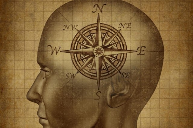 Dieu gi xay ra voi nao khi con nguoi su dung GPS lien tuc? hinh anh