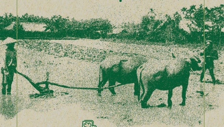 Qua trinh khan hoang o mien Nam hang tram nam hinh anh