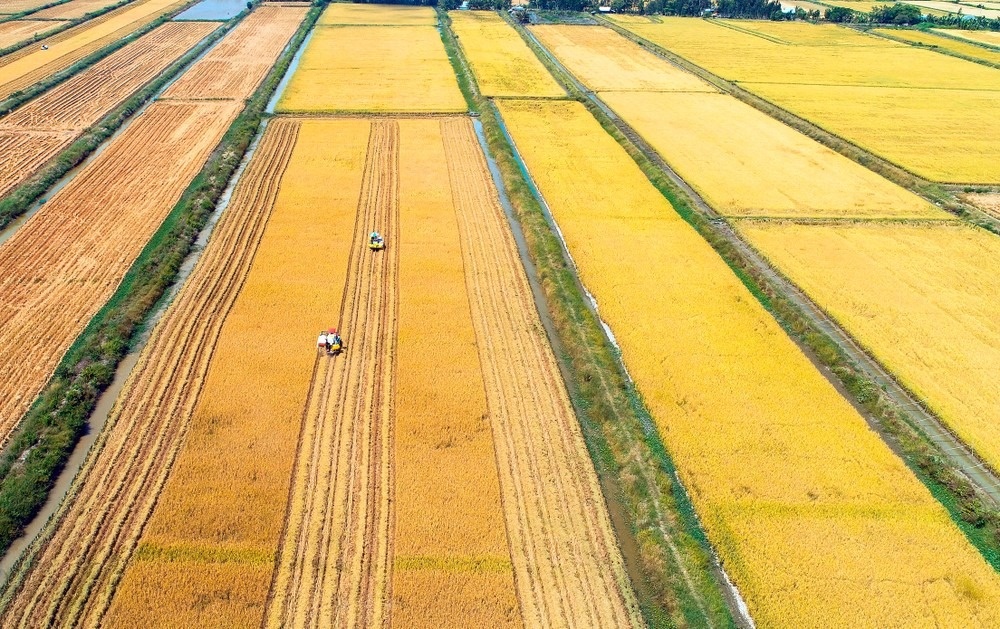 Cong dien la gi? hinh anh