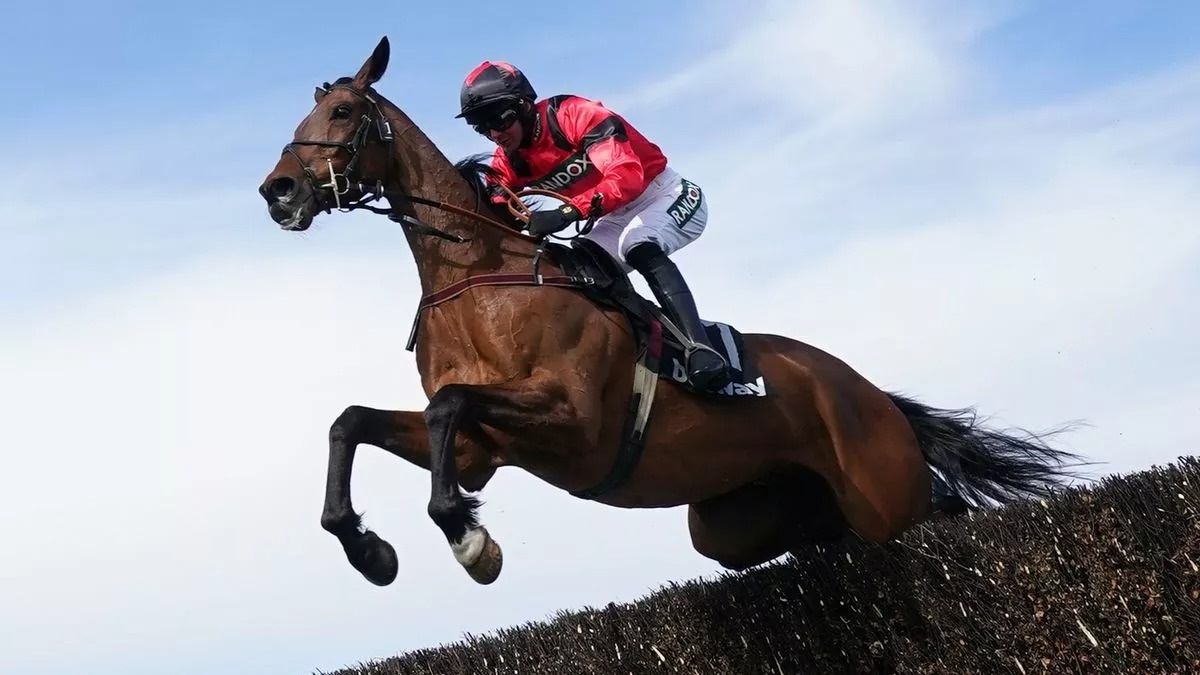 Thu dam me ngua cua ty phu hinh anh