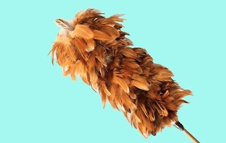 Co gai thua ke ty do va ky niem voi chiec choi long ga hinh anh