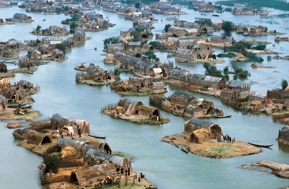 Luong Ha anh 1