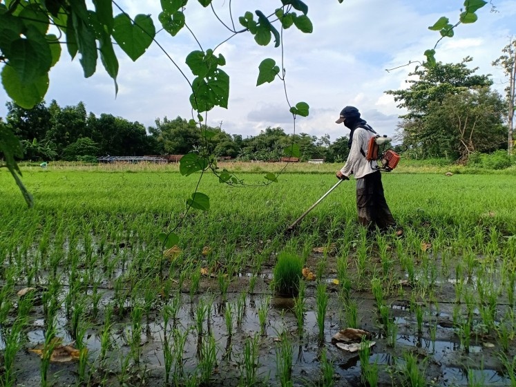 người trẻ làm giàu ảnh 2 nguoi tre lam giau anh 2