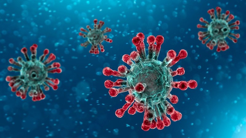 virus corona ảnh 1 virus corona anh 1