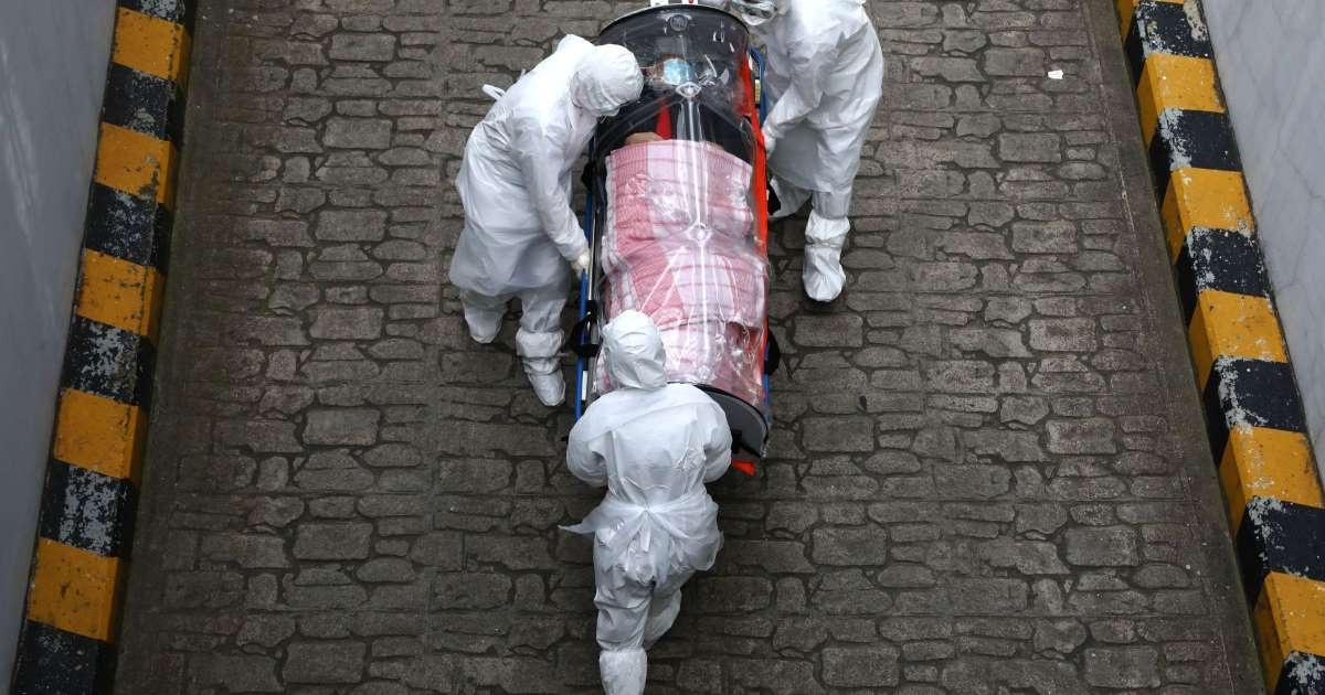 virus corona lan rong anh 2