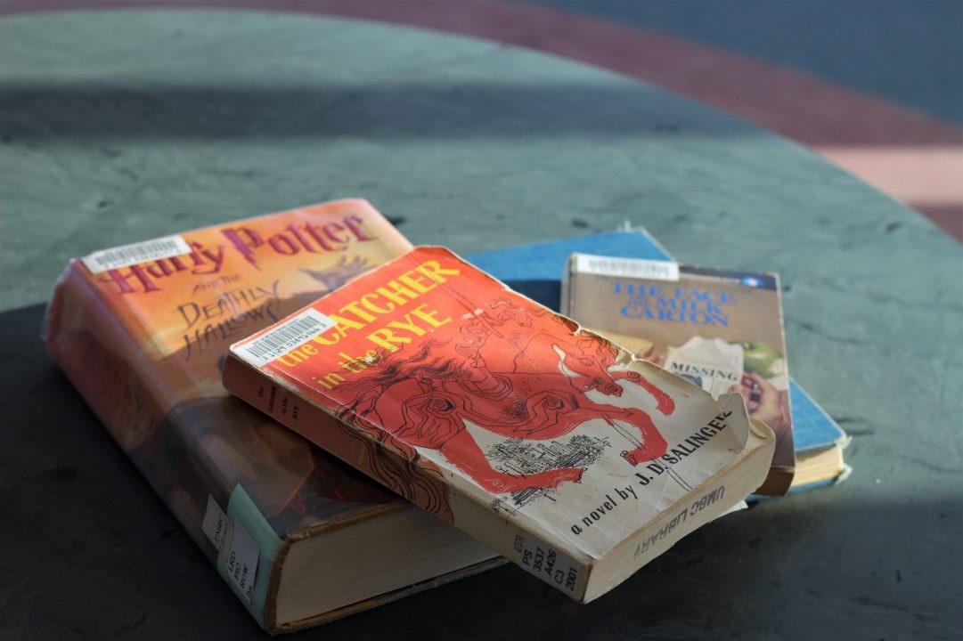 bat tre dong xanh anh 2