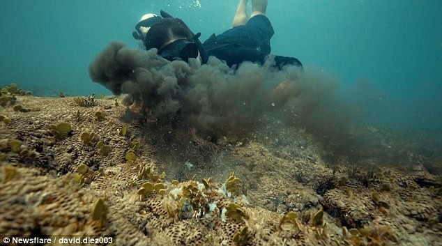 quai vat bien ca anh 6