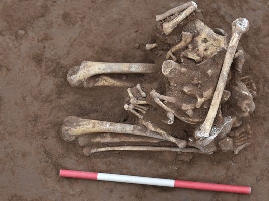 Bo xuong bi chat dau, tu the quy trong ngoi mo co hinh anh